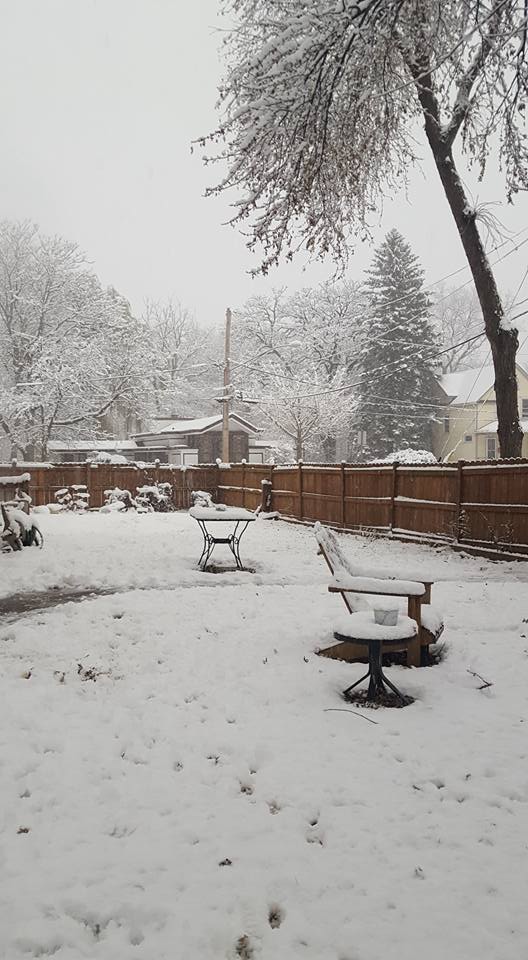 snow2016